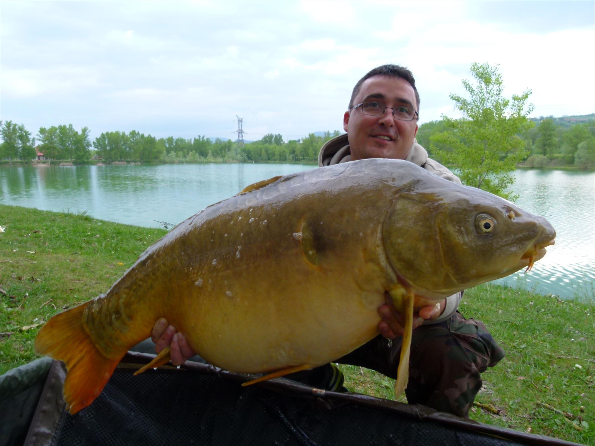 THE BIGS OF 2012 - p1000027.JPG